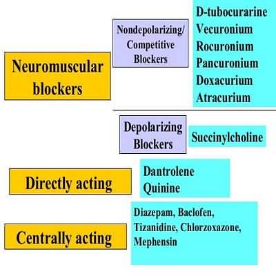 Nondepolarizing NeuromuscularJunction Blockers